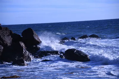 DSC_0558 (Large).JPG